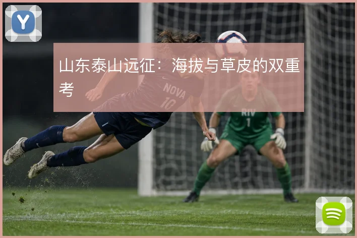山东泰山远征:海拔与草皮的双重考