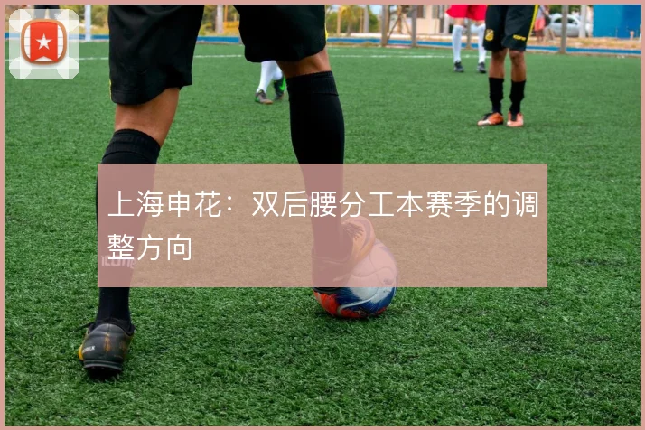 上海申花：双后腰分工本赛季的调整方向